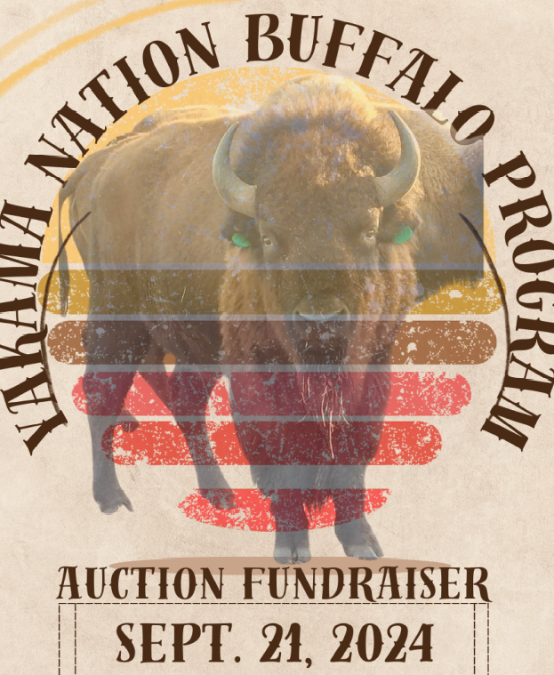 Buffalo Fundraiser